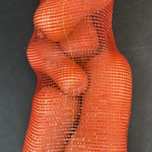 Butternut