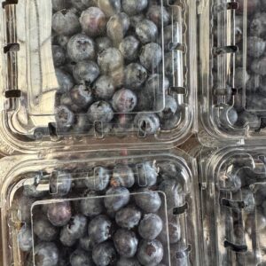 Blueberries