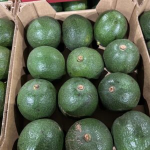Squash