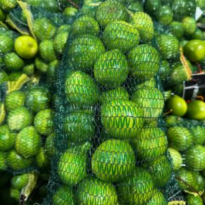 Limes