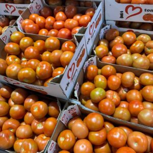Tomatoes