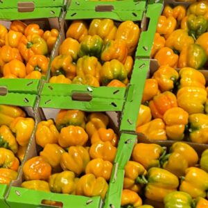Yellow Pepper Box +-5kg