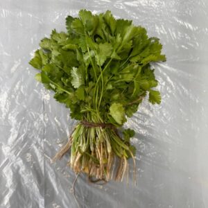 Dhania Bunch